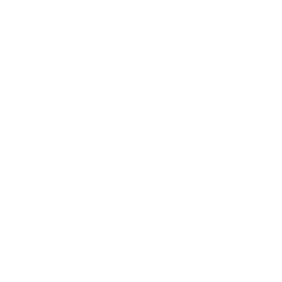 Aerisus